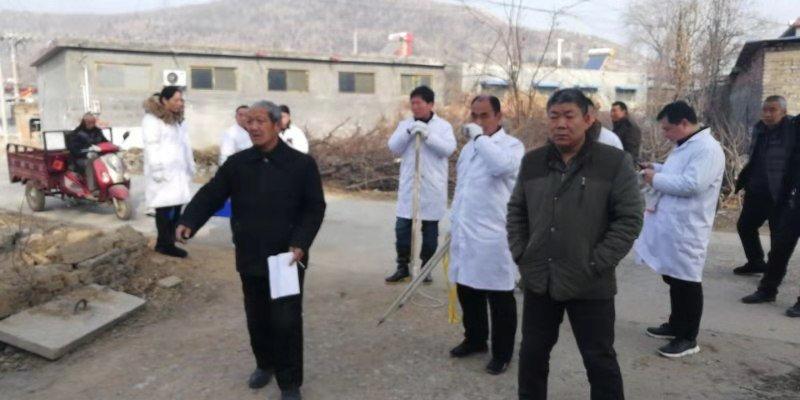 男童被狗舔后死亡 当地扑杀16条狗60条被注射疫苗