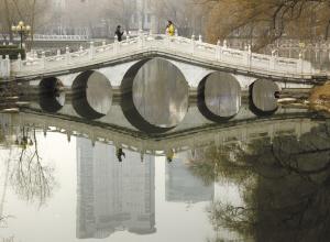 杨柳不解东风意 野鸭已知春水暖