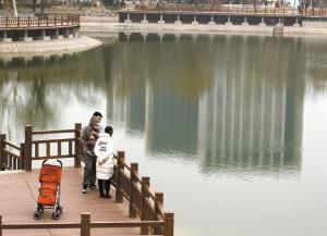 杨柳不解东风意 野鸭已知春水暖