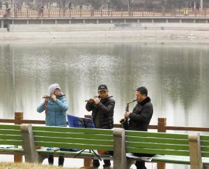 杨柳不解东风意 野鸭已知春水暖