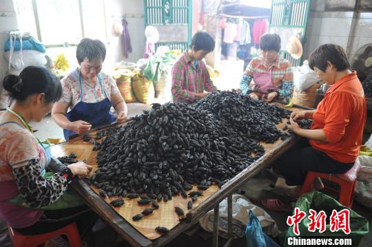 这省＂封杀＂槟榔广告 曾催生草根富豪和千亿企业