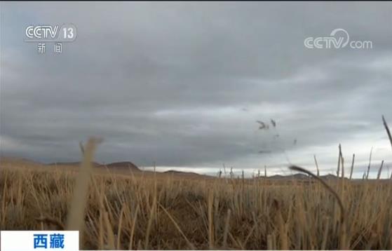 李志龙：基层干部是群众的勤务员