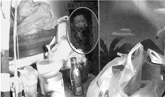 “举报”吸毒主人 宠物狗立下奇功