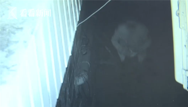 小偷写下＂励志＂日记自我鞭策：2020年前存满10万