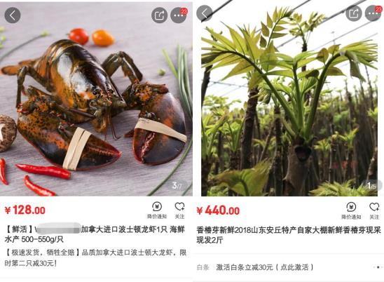 从“车厘子自由”到“香椿自由” 焦虑从菜市场开始