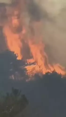 清明节追悼救火英雄，我们还应该做这件事……