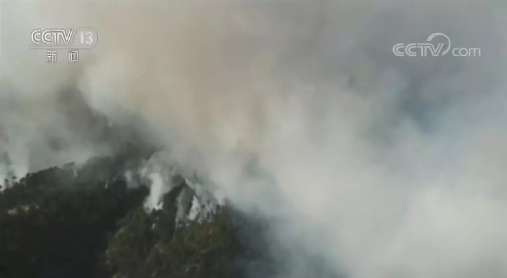 清明节追悼救火英雄，我们还应该做这件事……