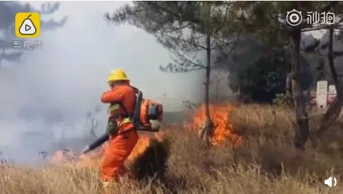 清明节追悼救火英雄，我们还应该做这件事……