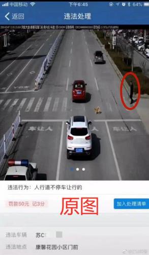 斑马线不停车让狗被罚款扣分？江苏网警辟谣