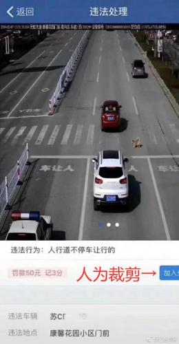 斑马线不停车让狗被罚款扣分？江苏网警辟谣