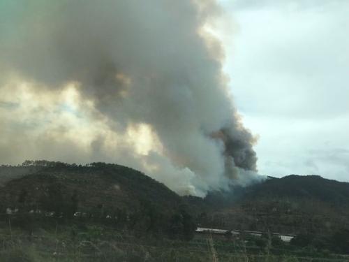 云南弥渡发生森林火灾：处置难度大 火势未获有效控制