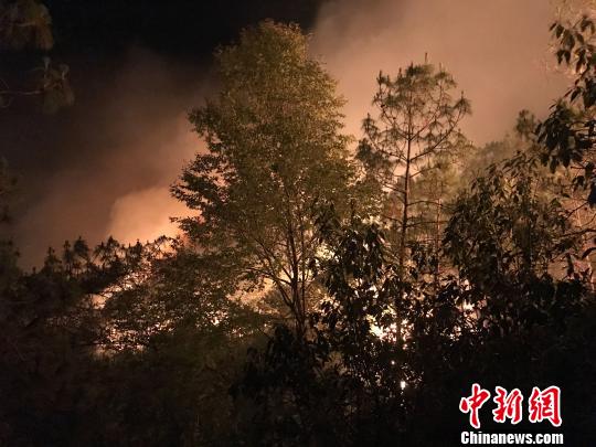 云南大理州弥渡县突发山火 森林消防正奋力扑救