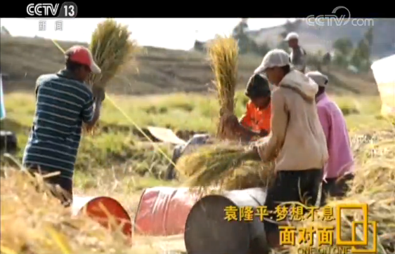 袁隆平英文致辞走红，快90岁的他还在为这两个梦想忙碌