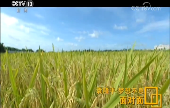 袁隆平英文致辞走红，快90岁的他还在为这两个梦想忙碌