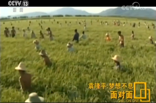 袁隆平英文致辞走红，快90岁的他还在为这两个梦想忙碌