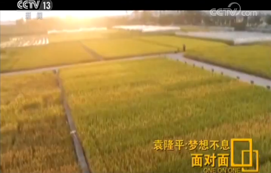 袁隆平英文致辞走红，快90岁的他还在为这两个梦想忙碌