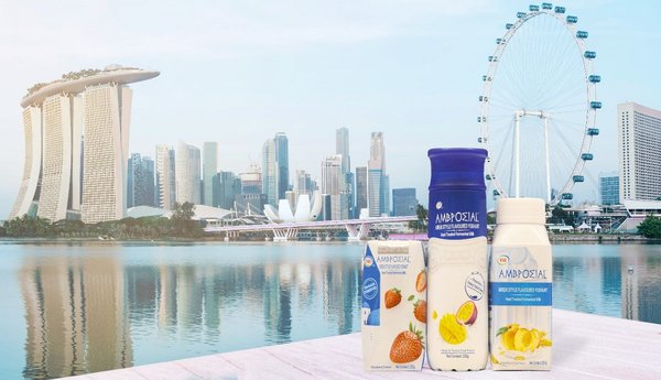 伊利子品牌安慕希正式进军东南亚市场