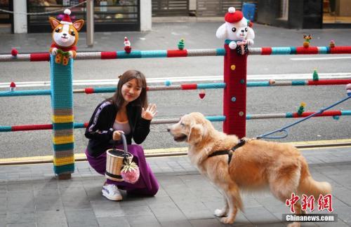 多个城市出台养犬新政 纵犬、虐犬都将面临重罚！