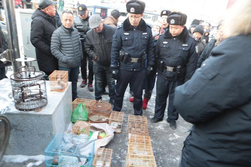 打击非法捕猎野生动物 哈尔滨警方近一个月来已刑拘6人