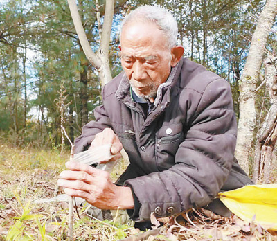 杨廷相，做挺立的硬汉