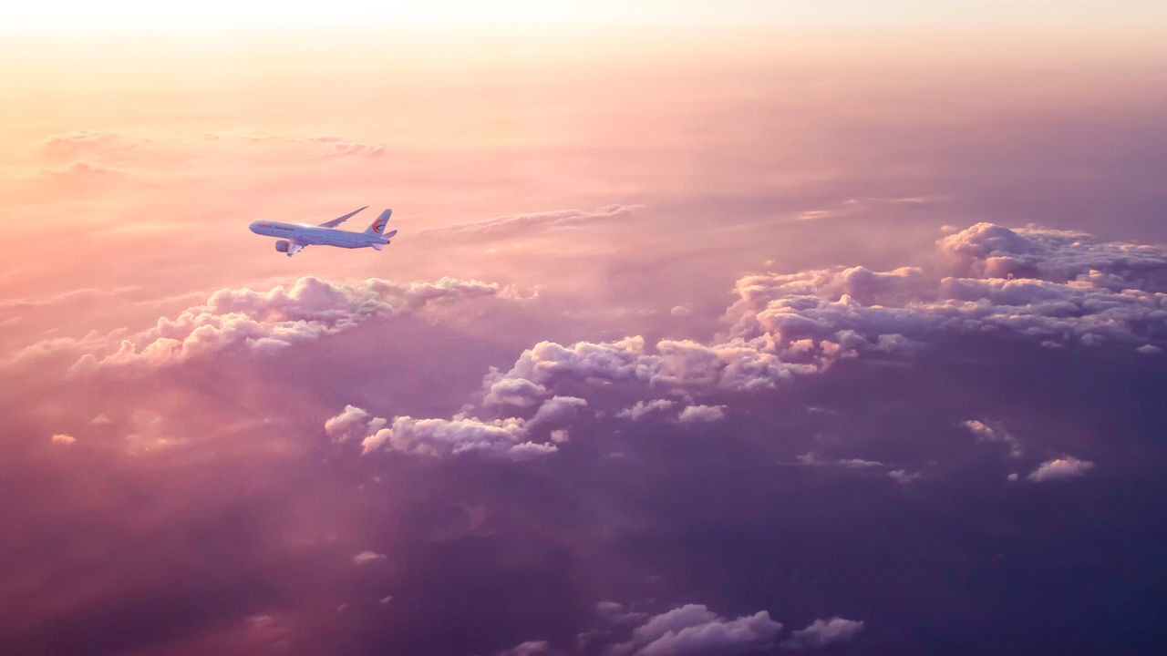 明星乘客信息被泄露 国航：涉事员工已停飞