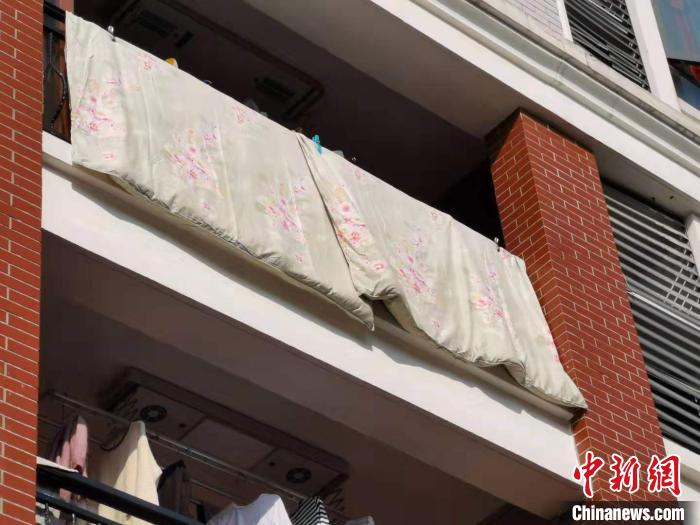 上海：小寒日变“小阳春”迎春绽放刷新早开纪录