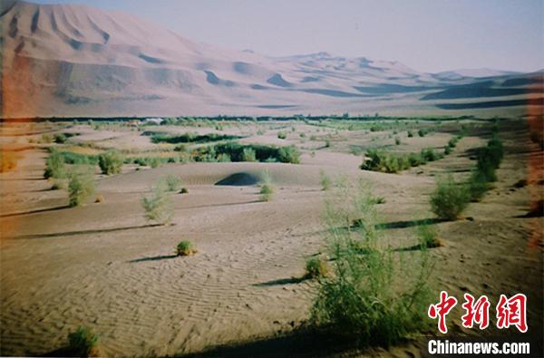 内蒙古“硬核”老人孟轲：让1500余亩荒漠变绿洲