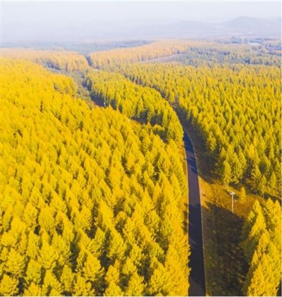 绿与美（金台随感?“生态笔谈”①）