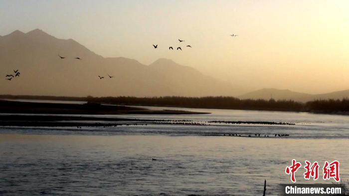 西藏“高高原”机场多举措“驱鸟”为春运飞行安全提供保障