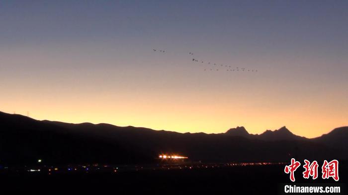 西藏“高高原”机场多举措“驱鸟”为春运飞行安全提供保障