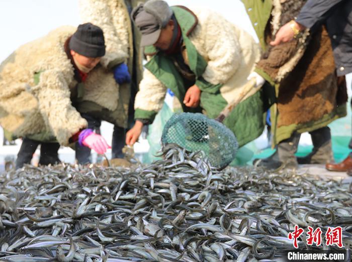 看冰上赛马飞驰享冬捕私人定制新疆博湖冰雪节开幕
