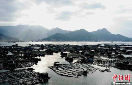 “中国大黄鱼之都”福建宁德海上养殖焕发生机