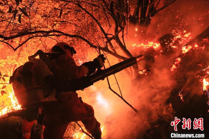 新春值守在武夷山的“火焰蓝”