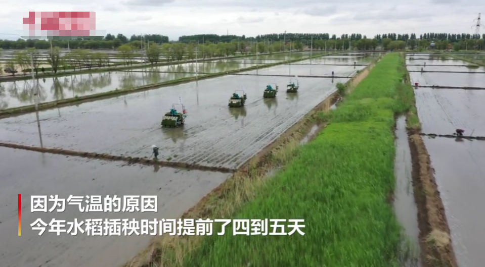 辽宁盘锦：抢抓农时机械化插秧正忙