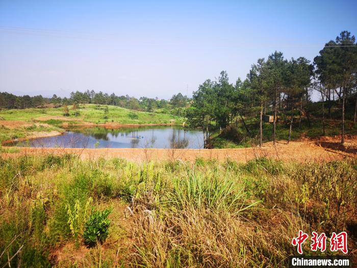 做脱贫致富“领头雁”湖南株洲“90后”女村支书乡间逐梦