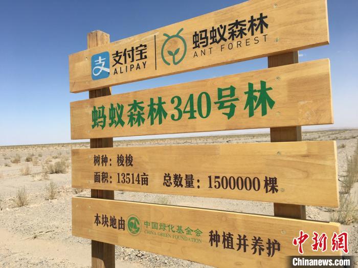 甘肃金塔治沙：成片栽种梭梭林犹如沙漠“刷绿漆”