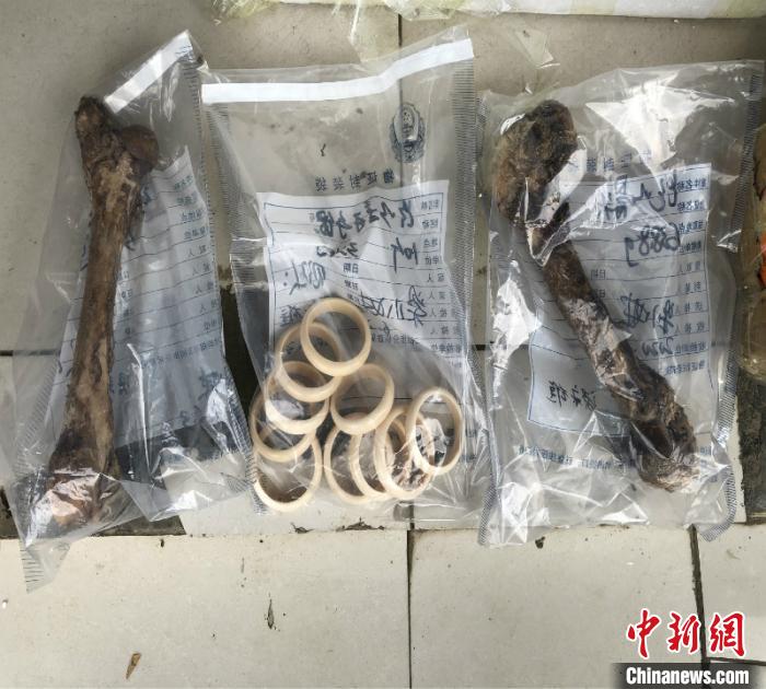 南宁海关查获25起濒危物种及其制品走私案案值逾1.3亿