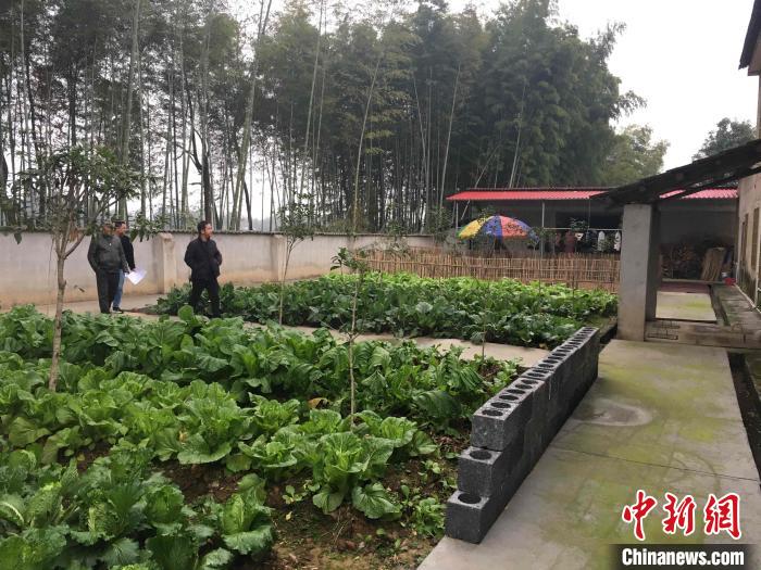自创“三级六法”革除脏乱陋习湖南桃江农村更美了