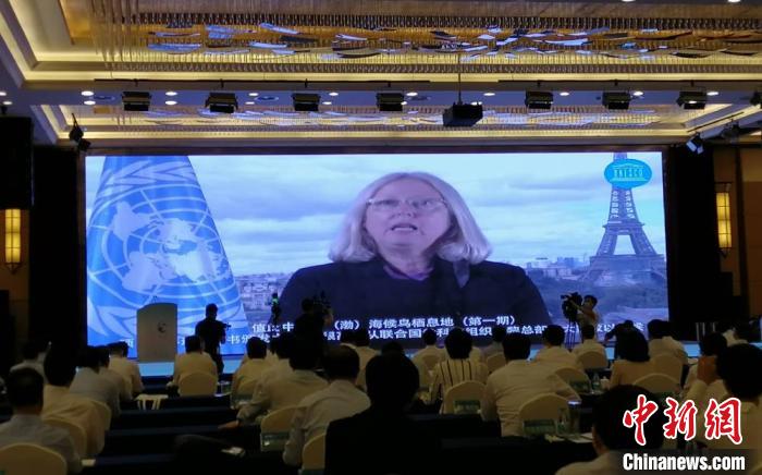 中国黄（渤）海候鸟栖息地（第一期）世界遗产证书在盐城揭幕