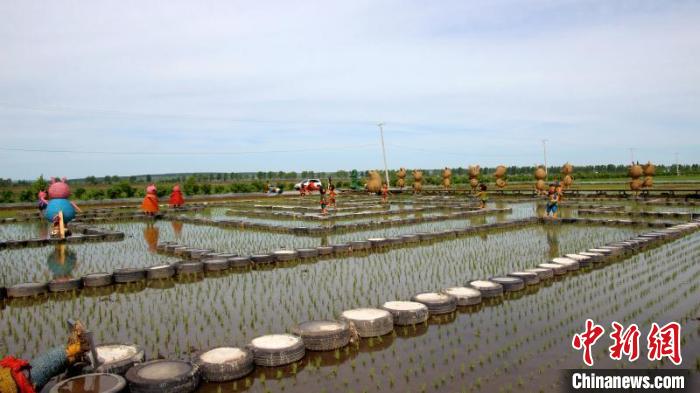 黑河打造寒地稻田公园农旅结合建设“小康新农村”