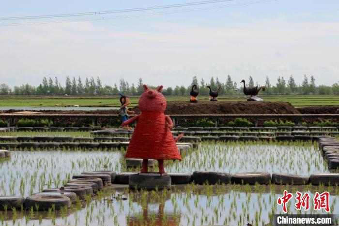 黑河打造寒地稻田公园农旅结合建设“小康新农村”