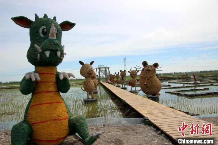 黑河打造寒地稻田公园农旅结合建设“小康新农村”