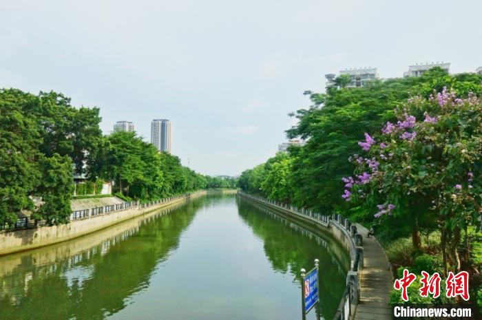 探秘广州河流治污秘籍
