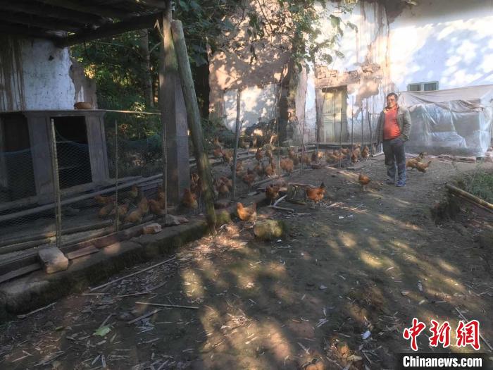 养殖能手陈红星：从“最难扶”到好幸福