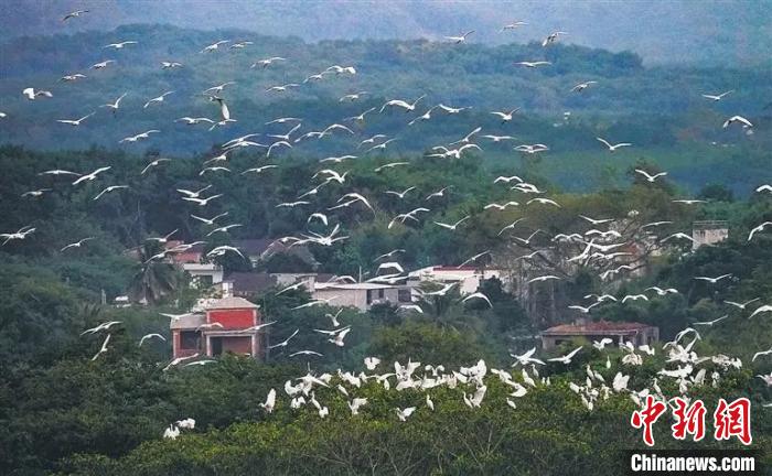 海南儋州：深入挖掘村庄资源打乡村旅游“特色牌”