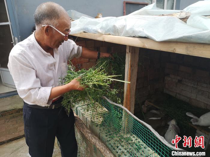 河北坝上“空心村”生机再现：宅基地入股家门口掘金