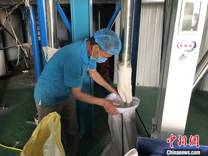 藜麦田里的守望者：河北坝上的幸福期盼