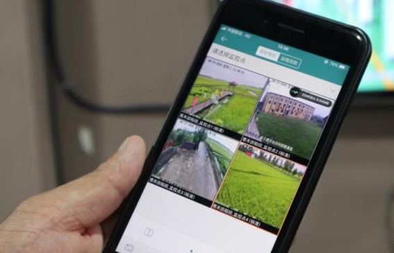 吉林实现“北地南种”：可视化农业受青睐