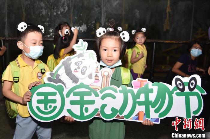 海归大熊猫“秋浜”在深圳过17周岁生日