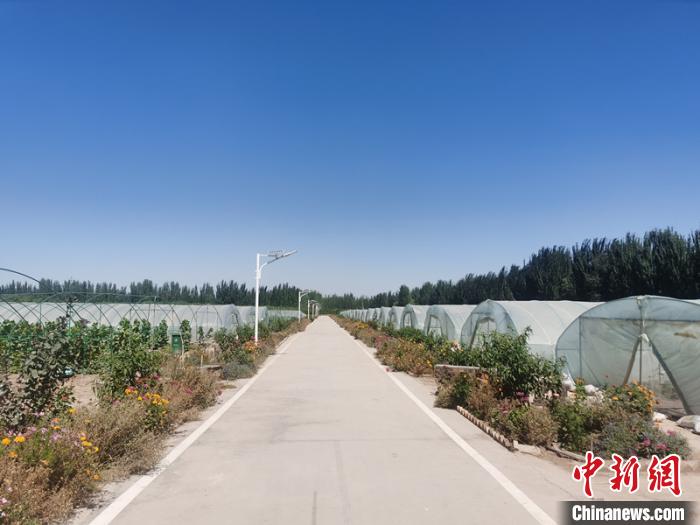 新疆喀什亚尔贝希村脱贫记：拱棚种植致富民众
